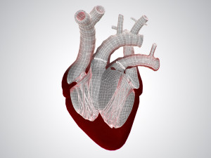 heart covered in blood rigged animated pbr 3D Model