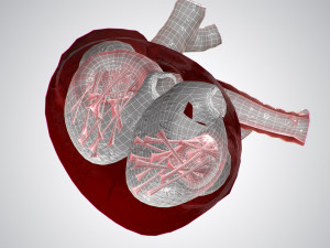 heart covered in blood rigged animated pbr 3D Model