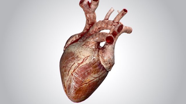 heart grungy rigged animated pbr 3D-Modell .c4d .max .obj .3ds .fbx .stl .blend 