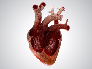 heart grungy rigged animated pbr 3D-Modell