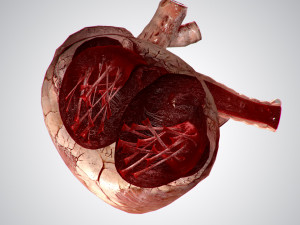heart grungy rigged animated pbr 3D-Modell
