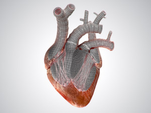 heart grungy rigged animated pbr 3D-Modell