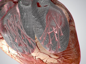 heart grungy rigged animated pbr 3D-Modell