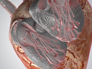 heart grungy rigged animated pbr 3D-Modell