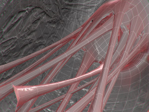 heart grungy rigged animated pbr 3D-Modell