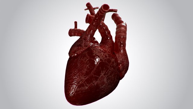 heart overblooded rigged animated pbr 3D Model .c4d .max .obj .3ds .fbx .stl .blend 