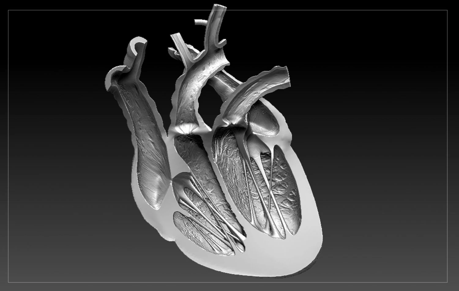 heart sliced stl 3d print model 3D Print Model .c4d .max .obj .3ds .fbx .stl .blend 