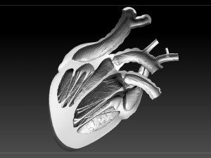 heart sliced stl 3d print model Modelo de Impressão 3D