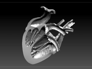 heart sliced stl 3d print model Modelo de Impressão 3D