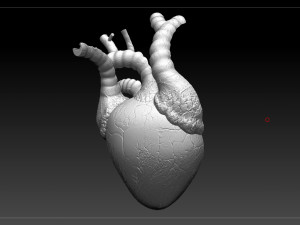 heart sliced stl 3d print model Modelo de Impressão 3D