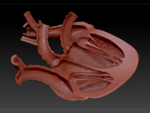 heart sliced stl 3d print model 3D Print Model