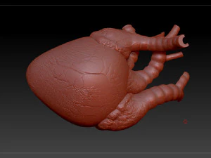 heart sliced stl 3d print model 3D Print Model