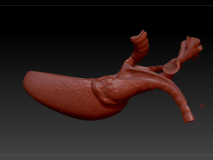 heart sliced stl 3d print model Modelo de Impressão 3D