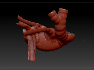 heart sliced stl 3d print model Modelo de Impressão 3D