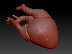 heart sliced stl 3d print model Modelo de Impressão 3D