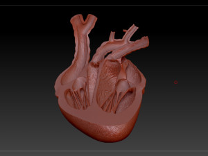 heart sliced stl 3d print model Modelo de Impressão 3D