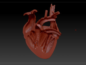 heart sliced stl 3d print model Modelo de Impressão 3D