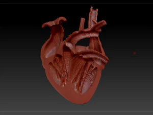 heart sliced stl 3d print model 3D Print Model