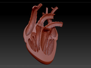 heart sliced stl 3d print model Modelo de Impressão 3D