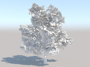 maple acer tree 03 archviz Modelo 3D