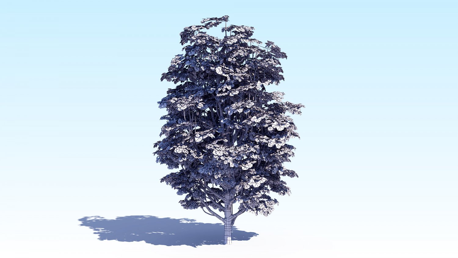 Деревья 7 м. Acer Tree 3d. 7 Деревьев. Дерево 7 декабря. RSC Torsch 7 Tree.