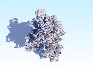 maple acer tree 08 archviz 3D Model