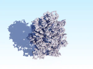maple acer tree 08 archviz 3D Model