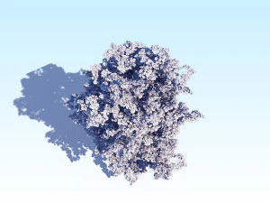 maple acer tree 08 archviz 3D Model