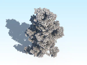 maple acer tree 09 archviz 3D Model