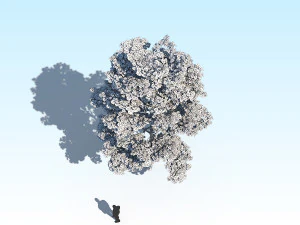 maple acer tree 10 archviz 3D Model
