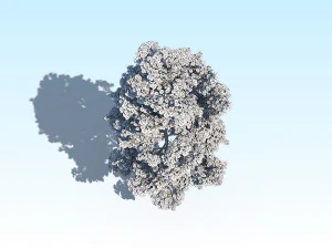 maple acer tree 10 archviz 3D Model
