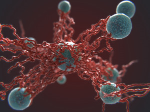 bio growth 4 pbr 3D-Modell