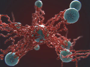 bio growth 4 pbr 3D Model