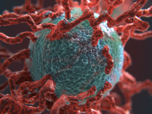 bio growth 4 pbr 3D-Modell