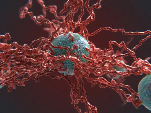 bio growth 4 pbr 3D Model