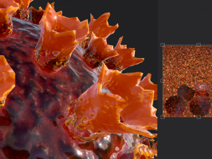 2019-ncov coronavirus 3D 模型