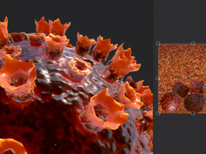 2019-ncov coronavirus 3D 模型