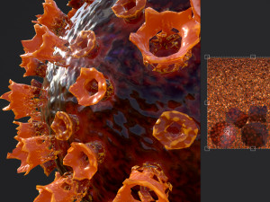 2019-ncov coronavirus 3D 模型