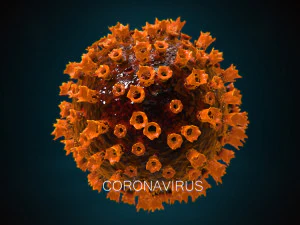 2019-ncov coronavirus 3D Model