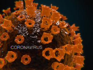2019-ncov coronavirus 3D 模型