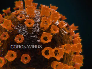 2019-ncov coronavirus 3D Model