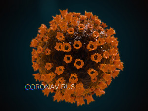 2019-ncov coronavirus 3D 模型