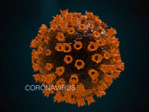 2019-ncov coronavirus 3D Model