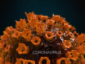 2019-ncov coronavirus 3D 模型