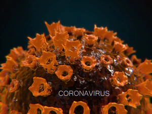 2019-ncov coronavirus 3D Model