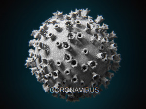 2019-ncov coronavirus 3D 模型