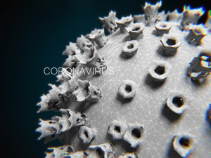 2019-ncov coronavirus 3D 模型