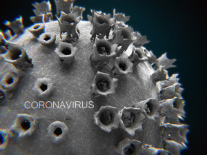 2019-ncov coronavirus 3D 模型