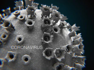 2019-ncov coronavirus 3D Model