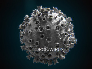 2019-ncov coronavirus 3D 模型